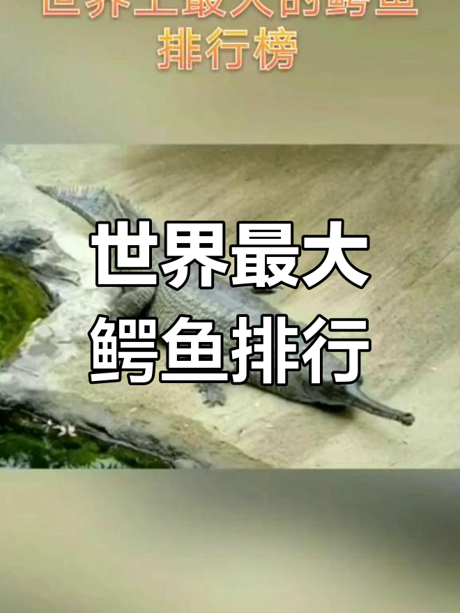 世界上最强的鳄鱼排名,咸水鳄居首