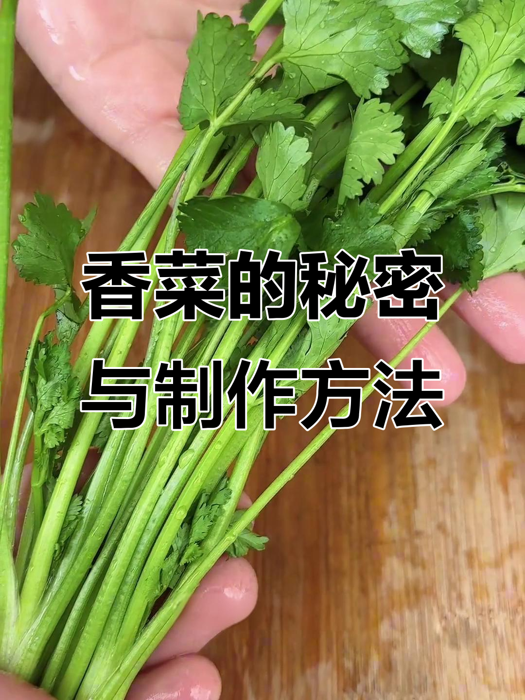 香菜竟是草本植物,教你简单做法让它更美味