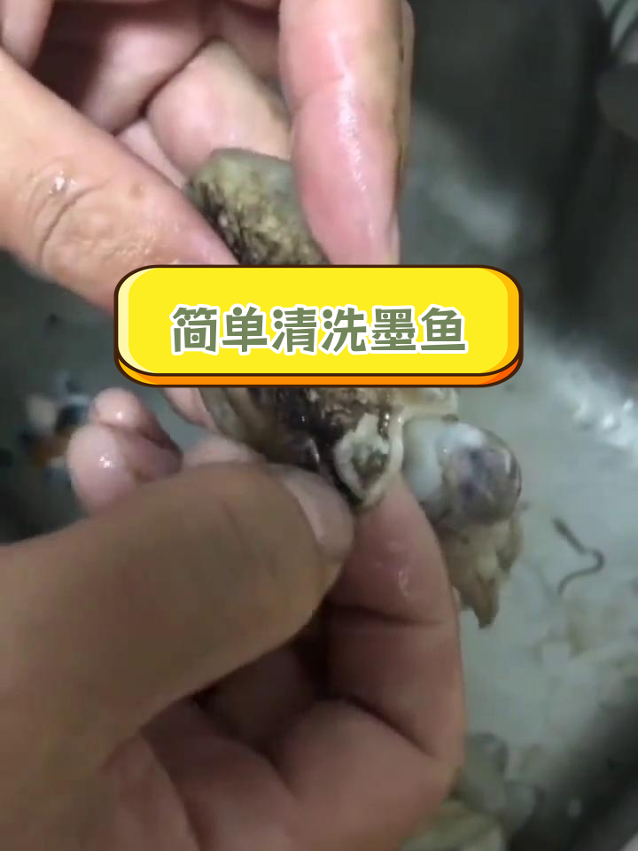 墨鱼仔清理小技巧,轻松搞定!