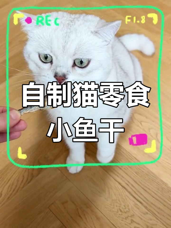 简单健康猫咪小鱼干,新手必学烤法