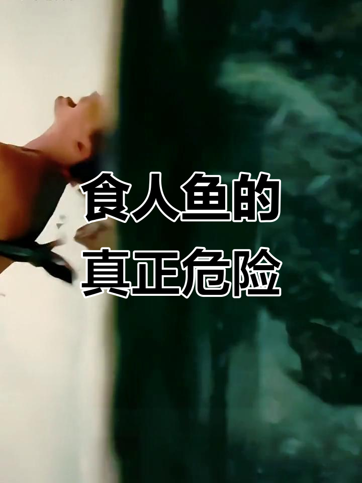 食人鱼真的那么可怕?实验揭秘真相
