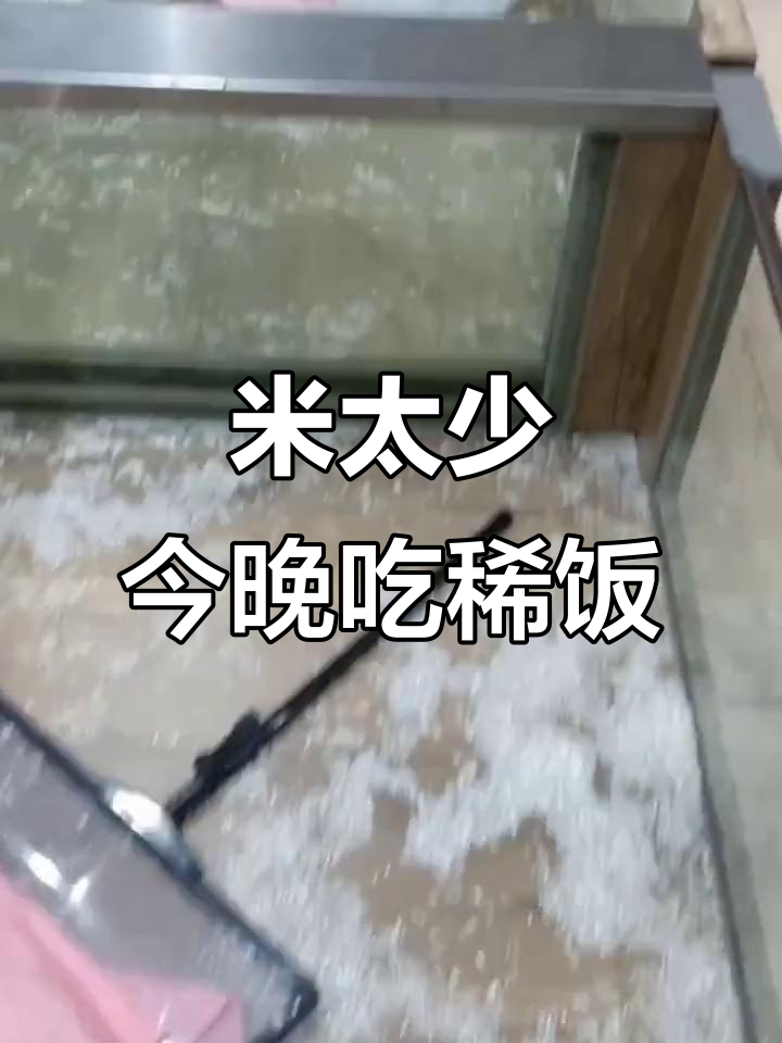 超市太晚,米不够做晚饭了!只能喝稀饭的悲惨夜晚