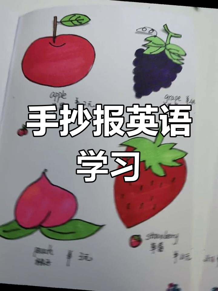英语菜单手抄报作业