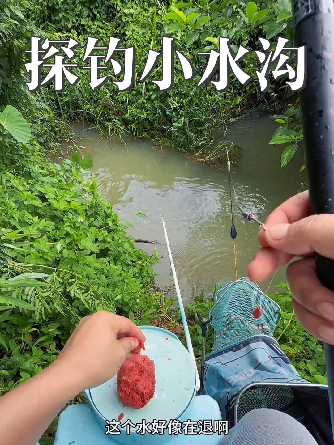 40公分水深的小水沟,究竟鱼情有多暴躁,钓鱼的乐趣只有钓鱼人懂 光威鱼竿