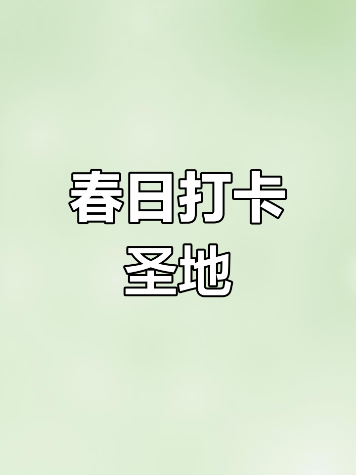 春季必游!五大湿地公园,让你感受自然与浪漫的完美融合