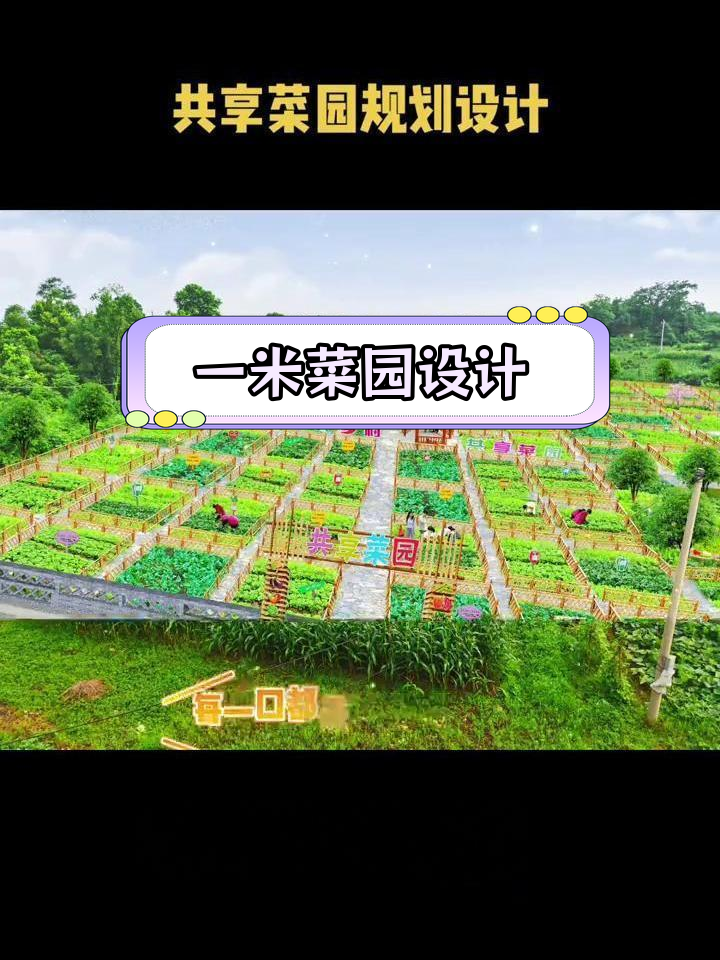 打造共享菜园,体验农耕乐趣