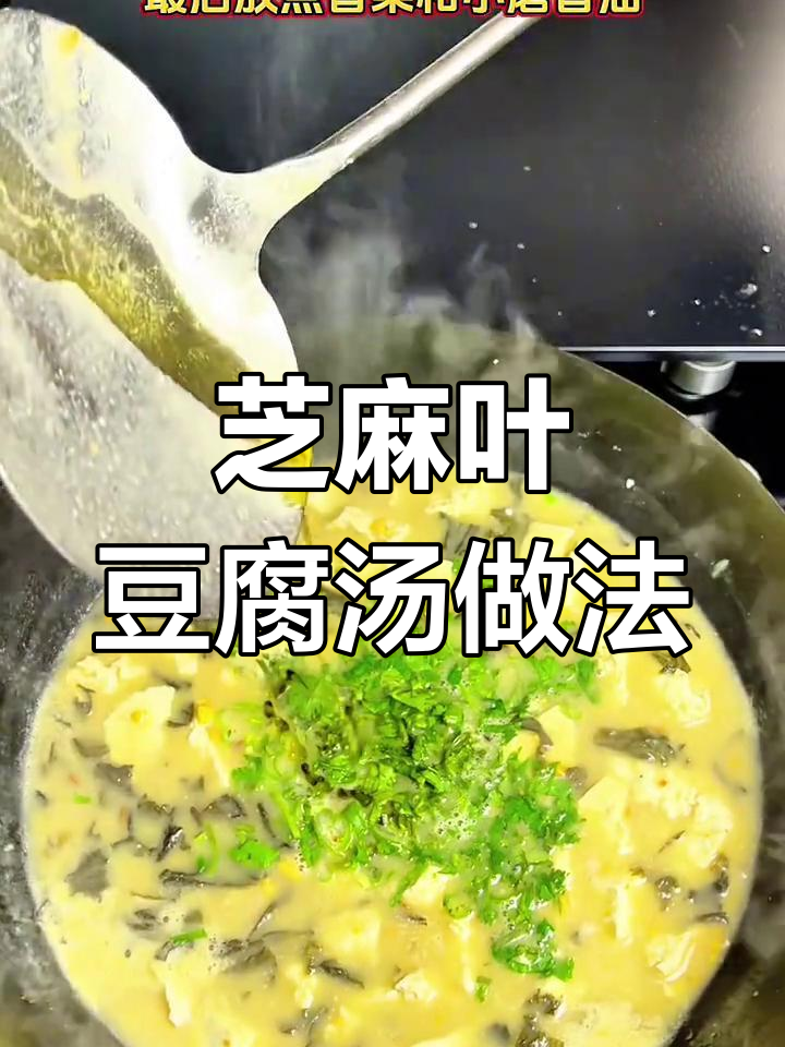 河南芝麻叶豆腐汤,春天的味道满满一碗