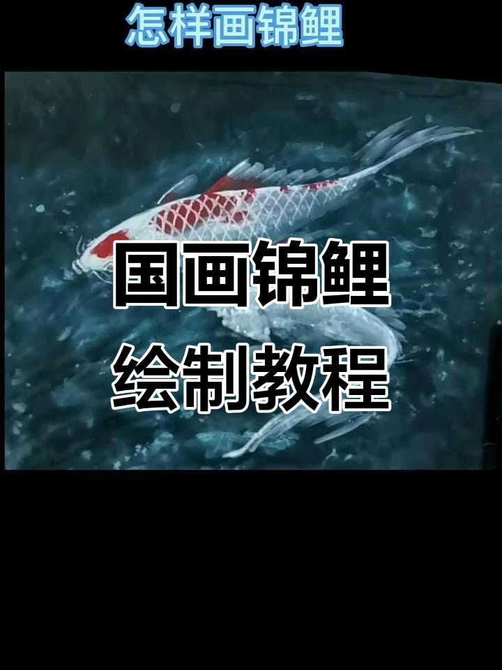 画锦鲤的独特技巧,轻松掌握国画风格