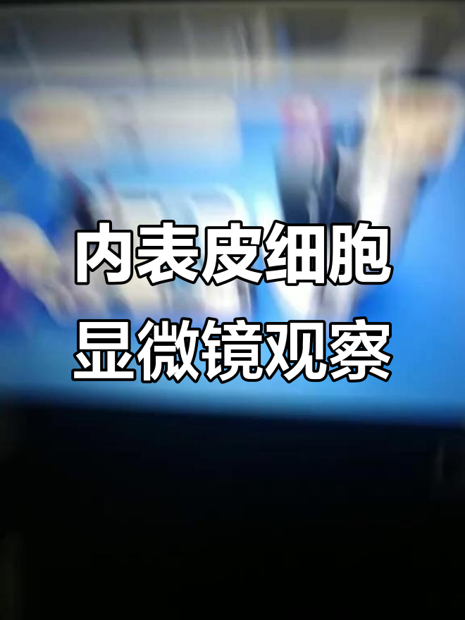 洋葱鳞片叶内表皮细胞显微镜观察实验