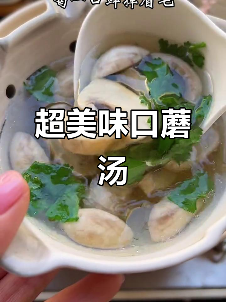 鲜美口蘑汤，简单又好喝！家常做法大公开