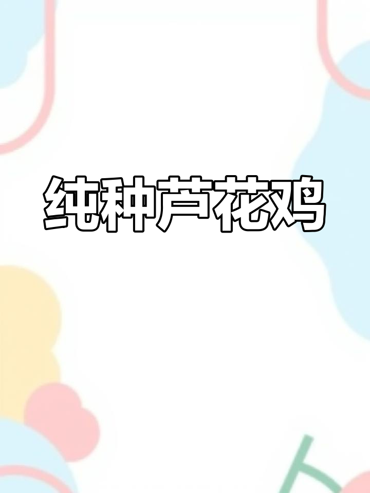 汶上芦花鸡,纯种活体发货,欢迎各地朋友来选购!