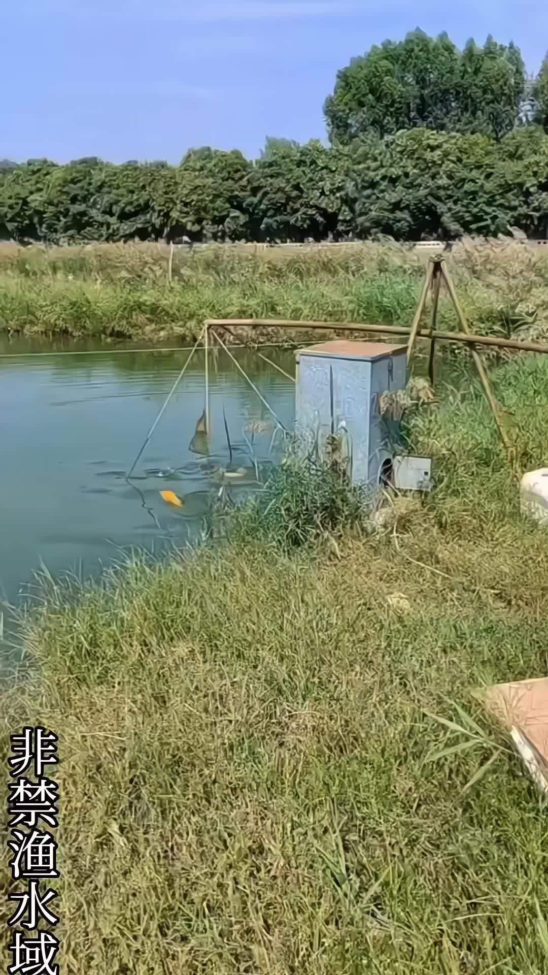 户外捕鱼抬网,一回本,再也不鳙去买鱼了 户外捕鱼 捕鱼网笼推荐 抬网捕鱼