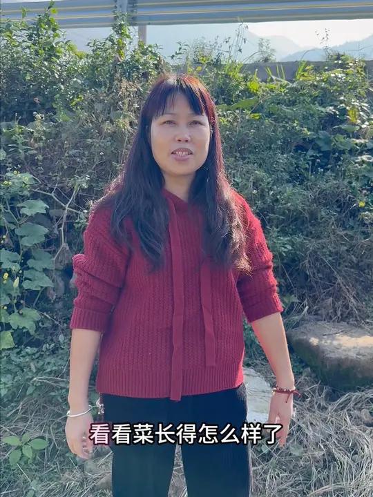 来菜地里看看之前种的菜怎么样了,回家烧一个红烧带鱼