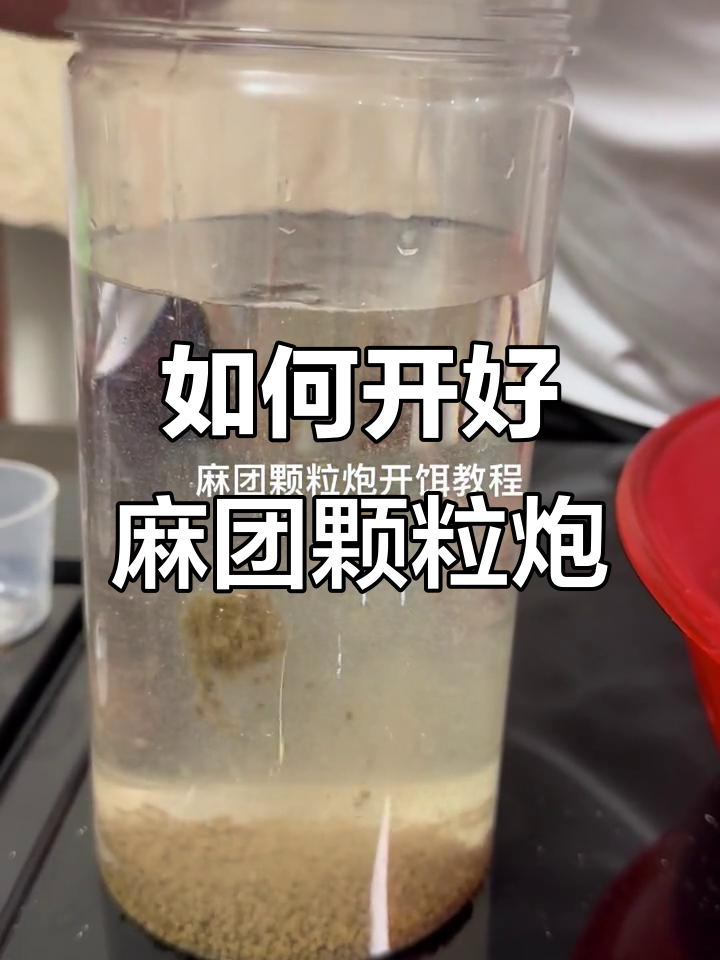 钓鱼必备！麻团颗粒炮开饵技巧大揭秘，快速上手