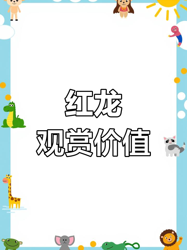 高端龙鱼鉴赏:印尼中鸿蒙战车