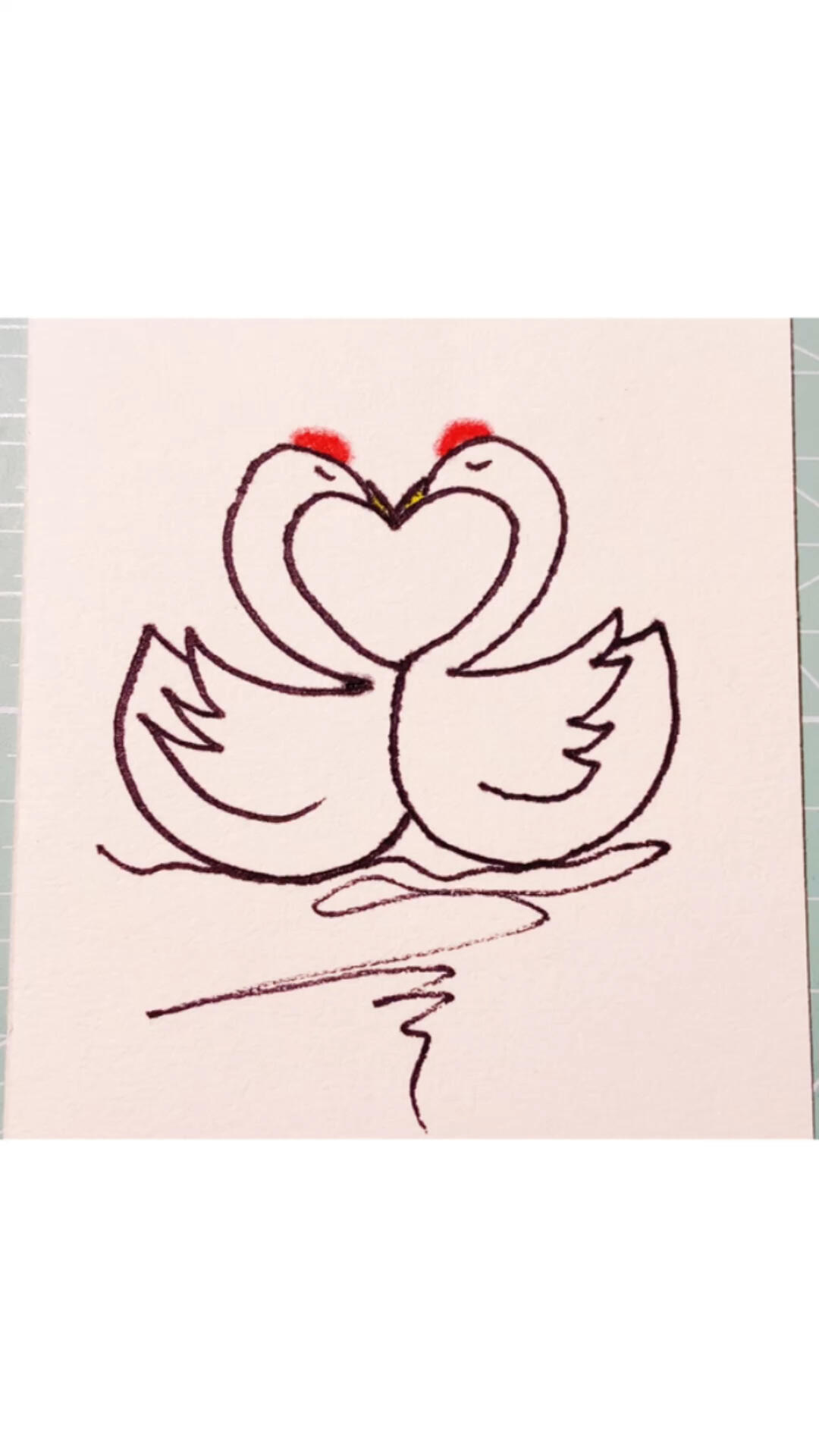 简笔画|天鹅教程