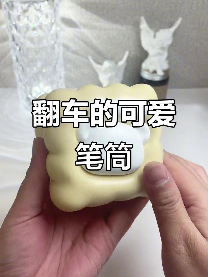 曲奇饼干造型笔筒,翻车了!但依然可爱