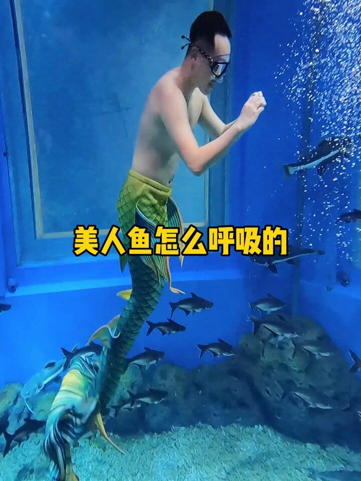 美人鱼怎么呼吸?男鱼示范你学废了没?