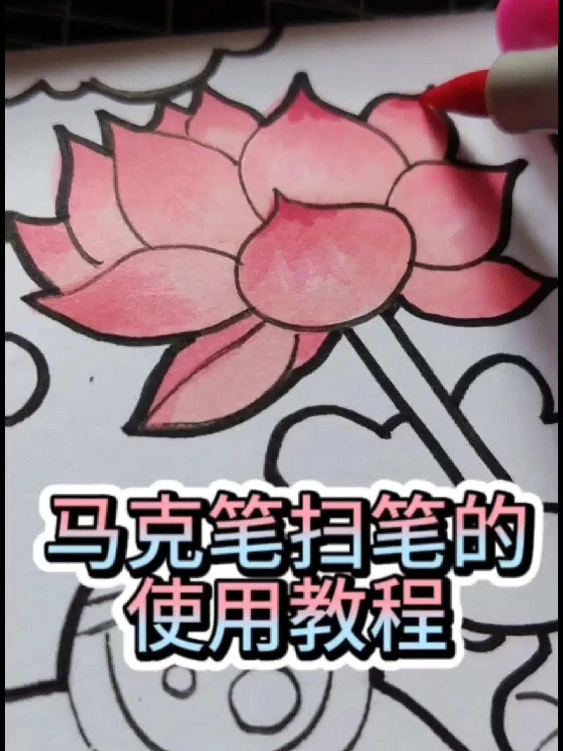 马克笔扫笔教程/教你荷花涂色