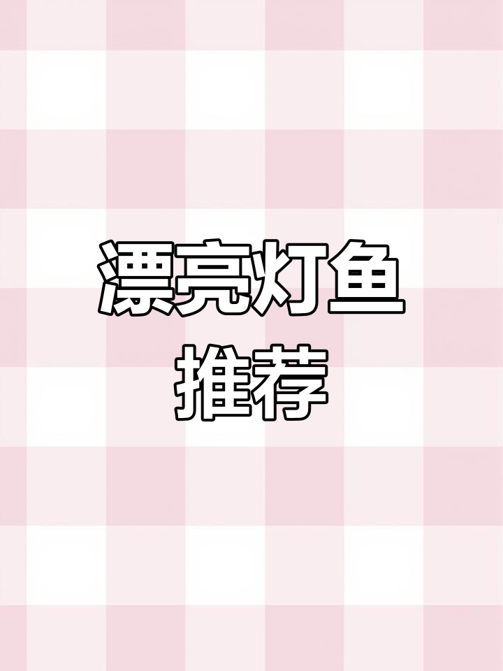 6种美丽灯鱼推荐,群养效果惊艳