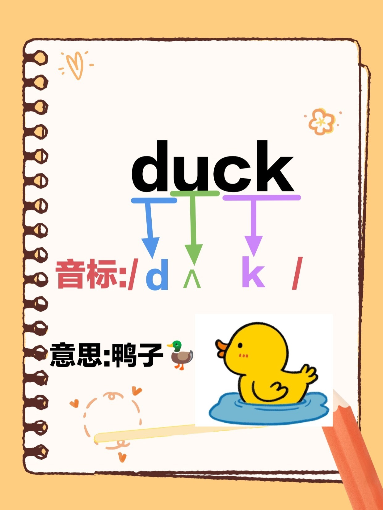 英语单词duck鸭子