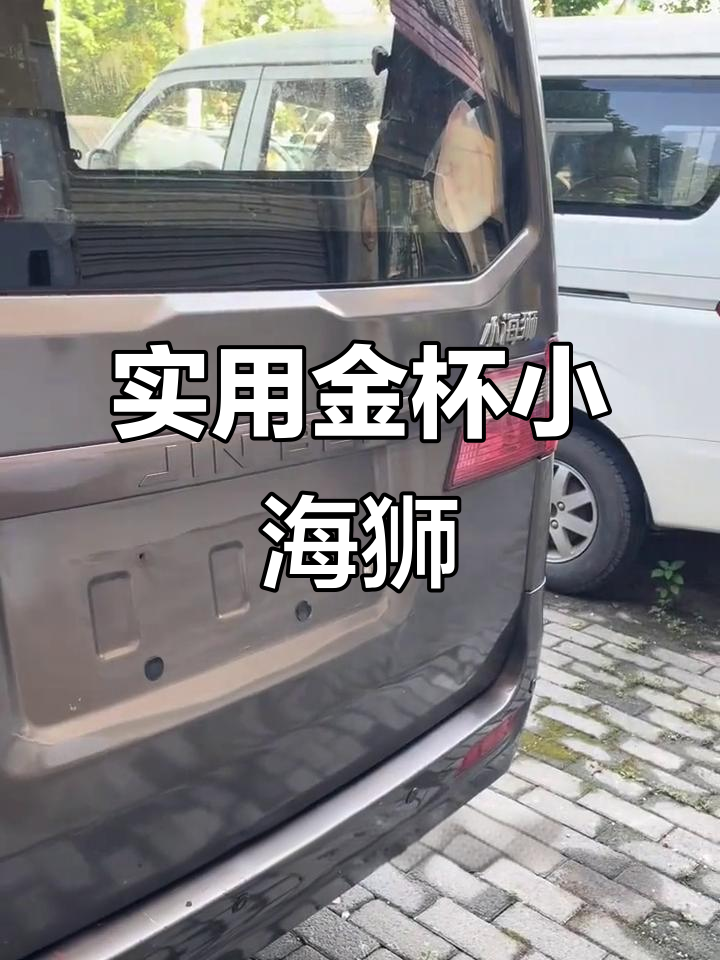 金杯小海狮：全能面包车，家用代步与拉货两不误