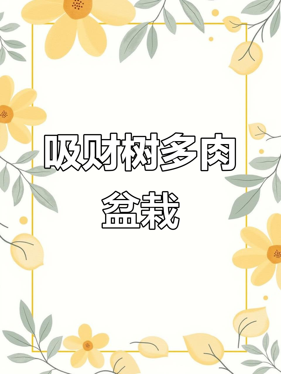 吸财树老桩多肉,四季常绿,轻松养护室内喜阳植物