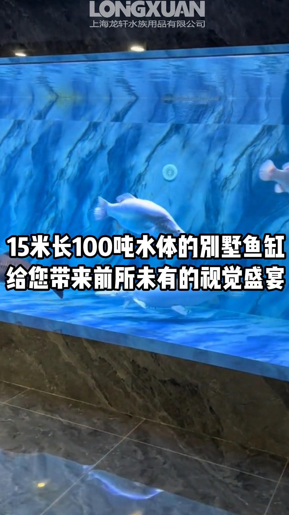 在别墅地下室做个大型鱼缸,边喝茶边赏鱼,太这也太会享受了吧?