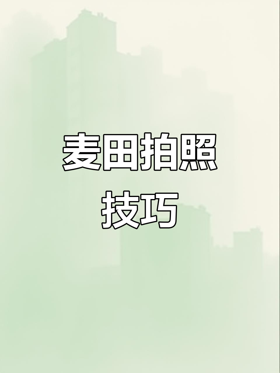 如何在麦田拍摄出高级感,乡野田间也能拍大片