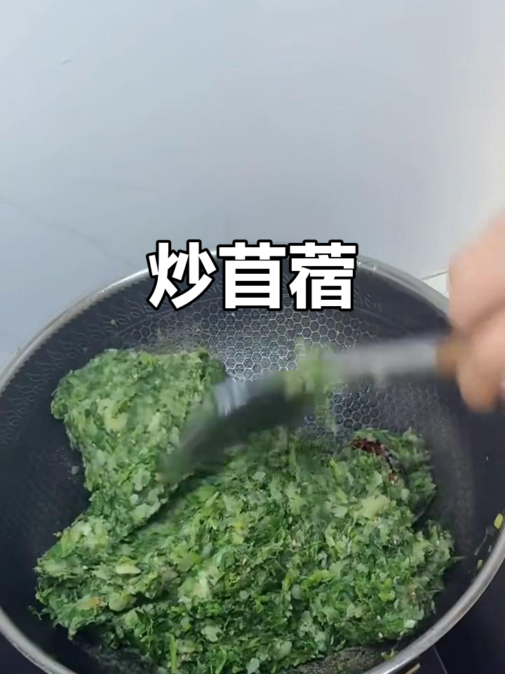 炒苜蓿的独特做法,简单又美味