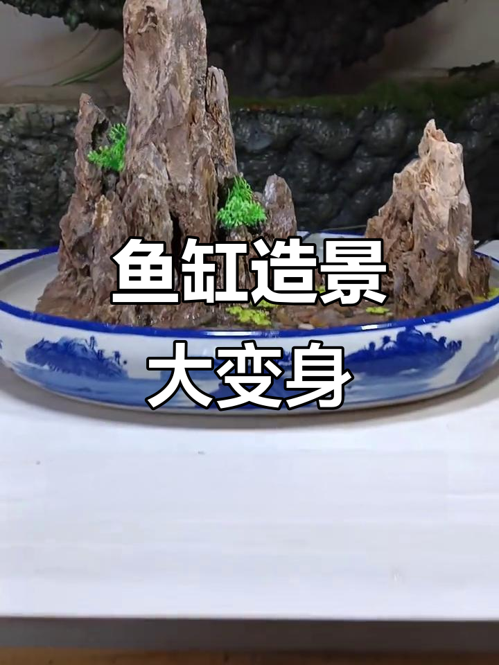 鱼缸里的自然景观,假山流水打造生态空间