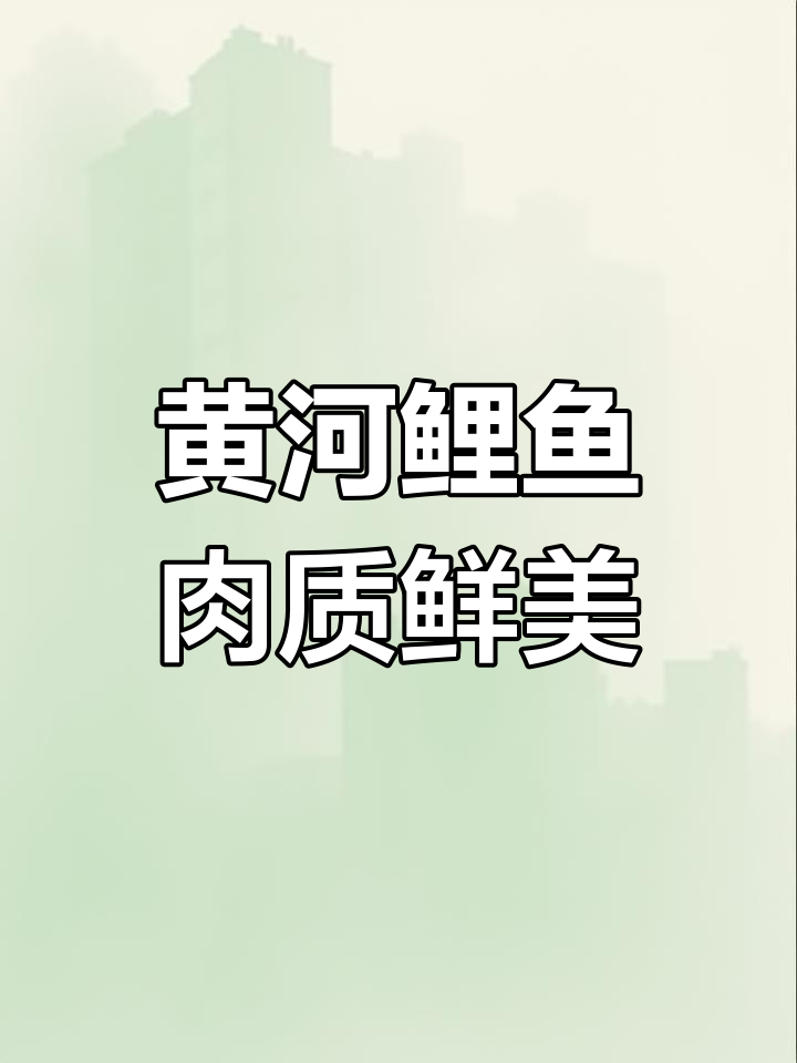 黄河大鲤鱼:营养丰富的美味之选