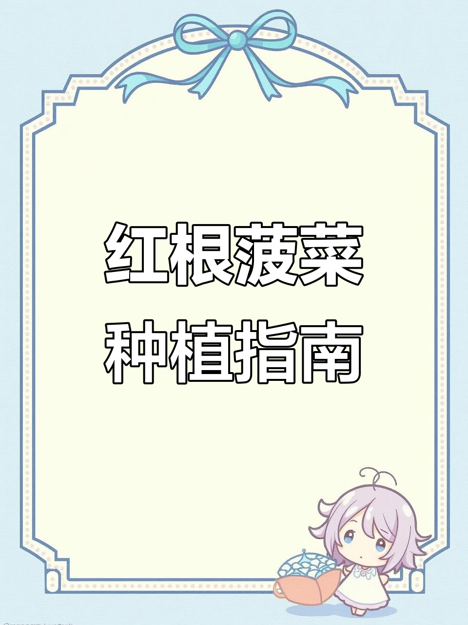 11月种红根菠菜,耐寒易养,春节有新鲜菜吃!