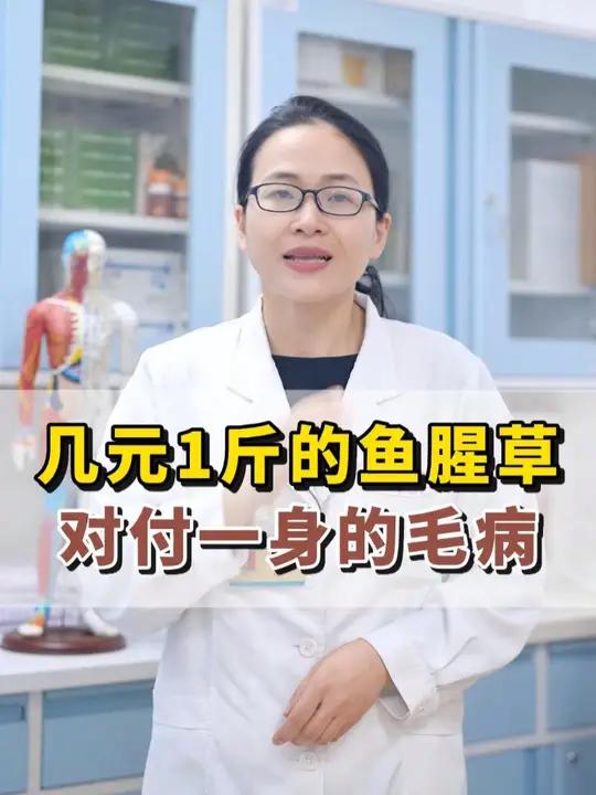 几元1斤的鱼腥草,对付一身的毛病