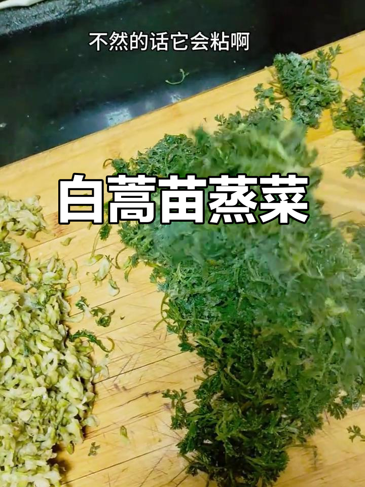 春天的味道:白蒿苗蒸菜,简单又美味