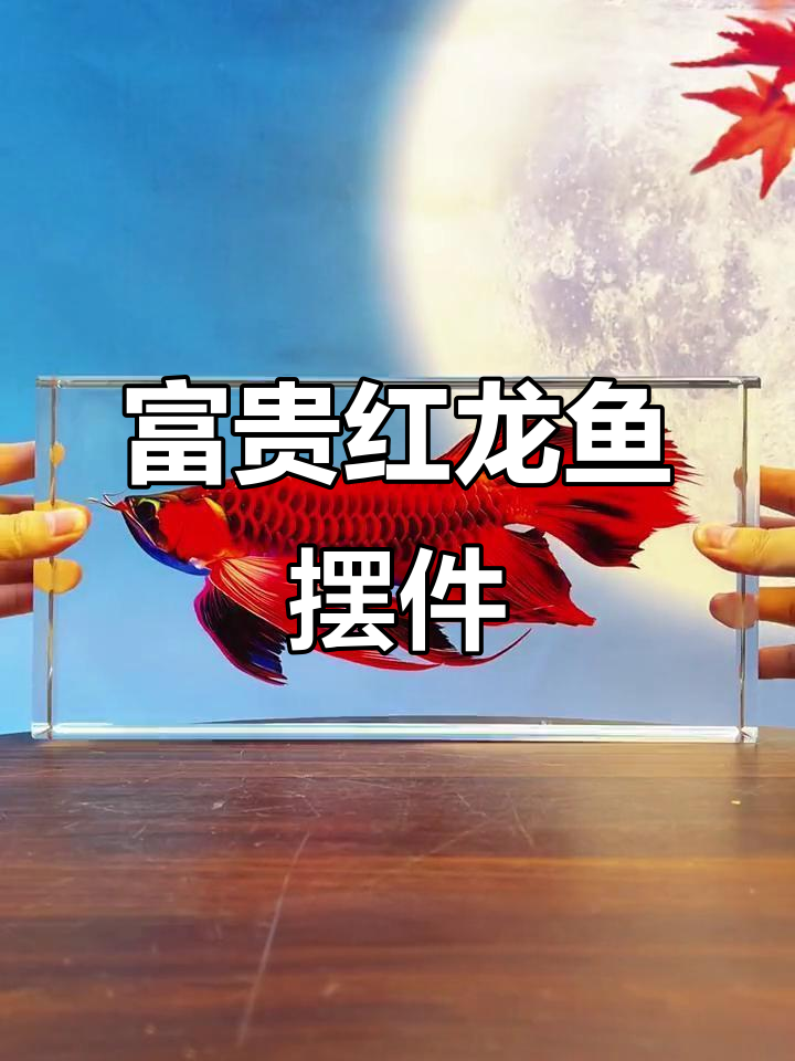 红龙水晶鱼摆件,家居装饰新风尚