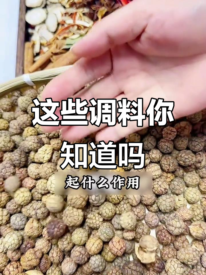 常见调料作用大揭秘，草蔻、肉蔻等如何让菜肴更美味