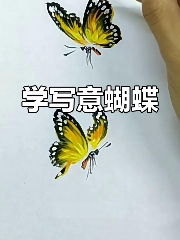 轻松掌握半侧面蝴蝶画法,步骤详解教你画出栩栩如生的翅膀