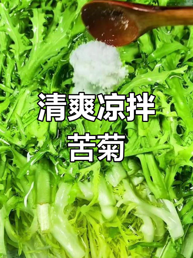 凉拌苦菊的正确做法,脆爽又开胃