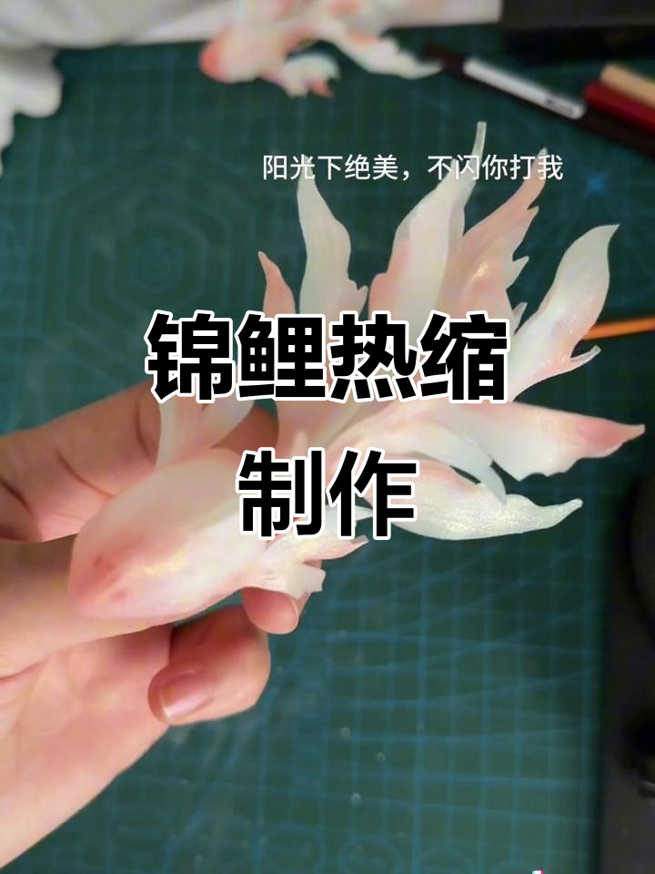 大尾巴锦鲤热缩教程,手工DIY创意设计