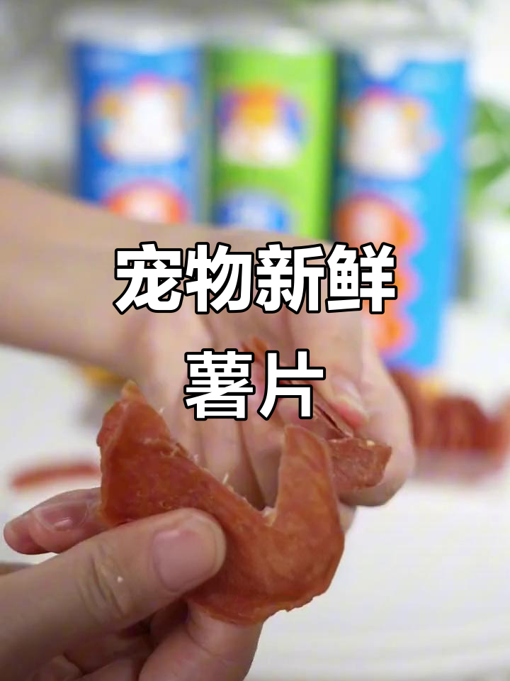 给狗狗尝尝健康薯片,鲜肉制作更美味