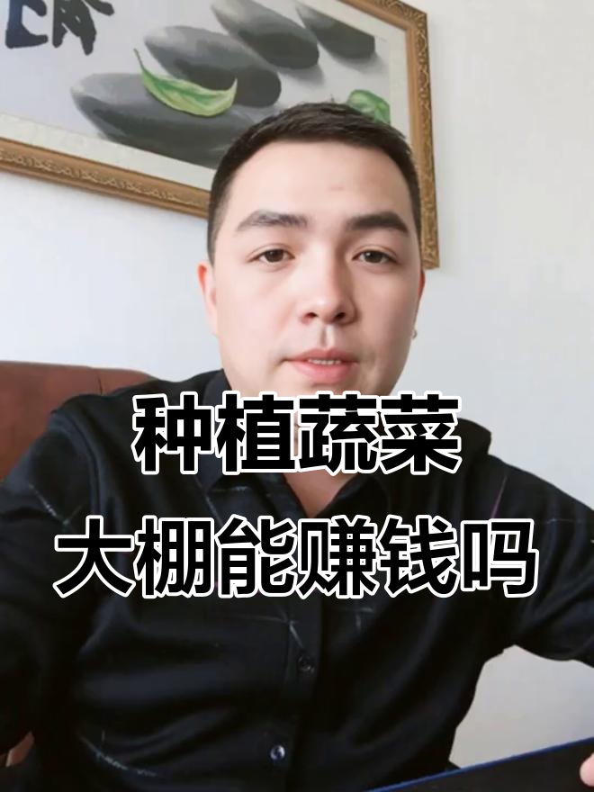 返乡创业种蔬菜大棚,如何避免失败?这些技术你得掌握