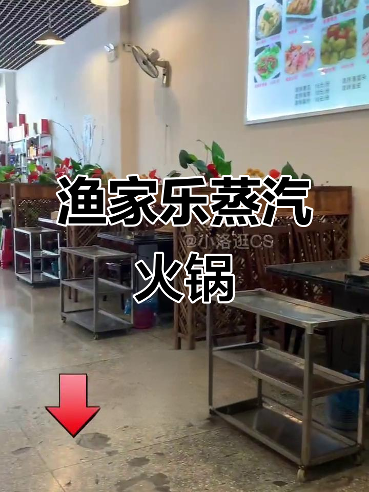 渔家乐蒸汽火锅,海鲜鲜美到爆汁,粥底才是亮点