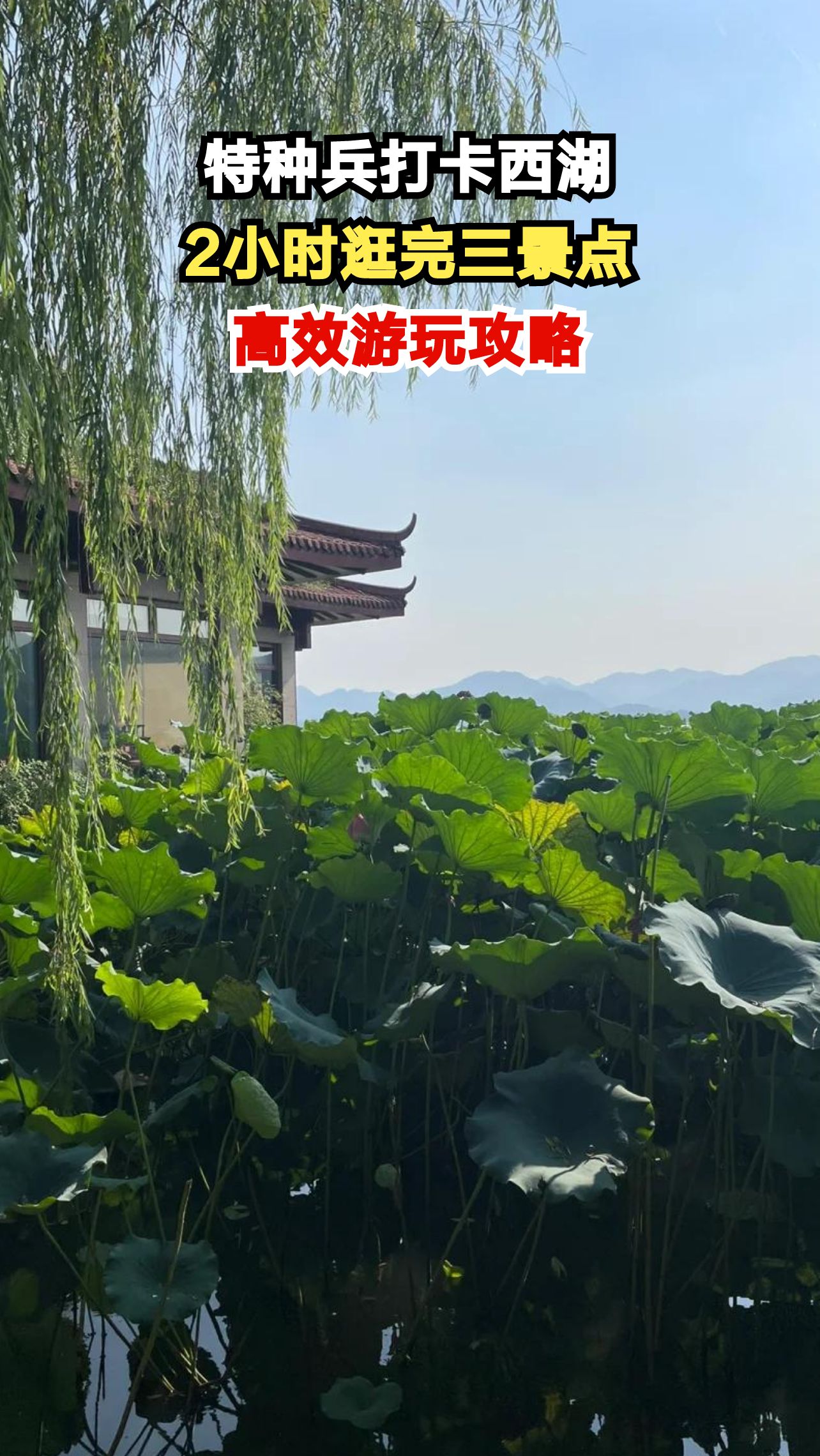 西湖特种兵2小时速通雷峰塔苏堤花港观鱼，这份攻略请收好