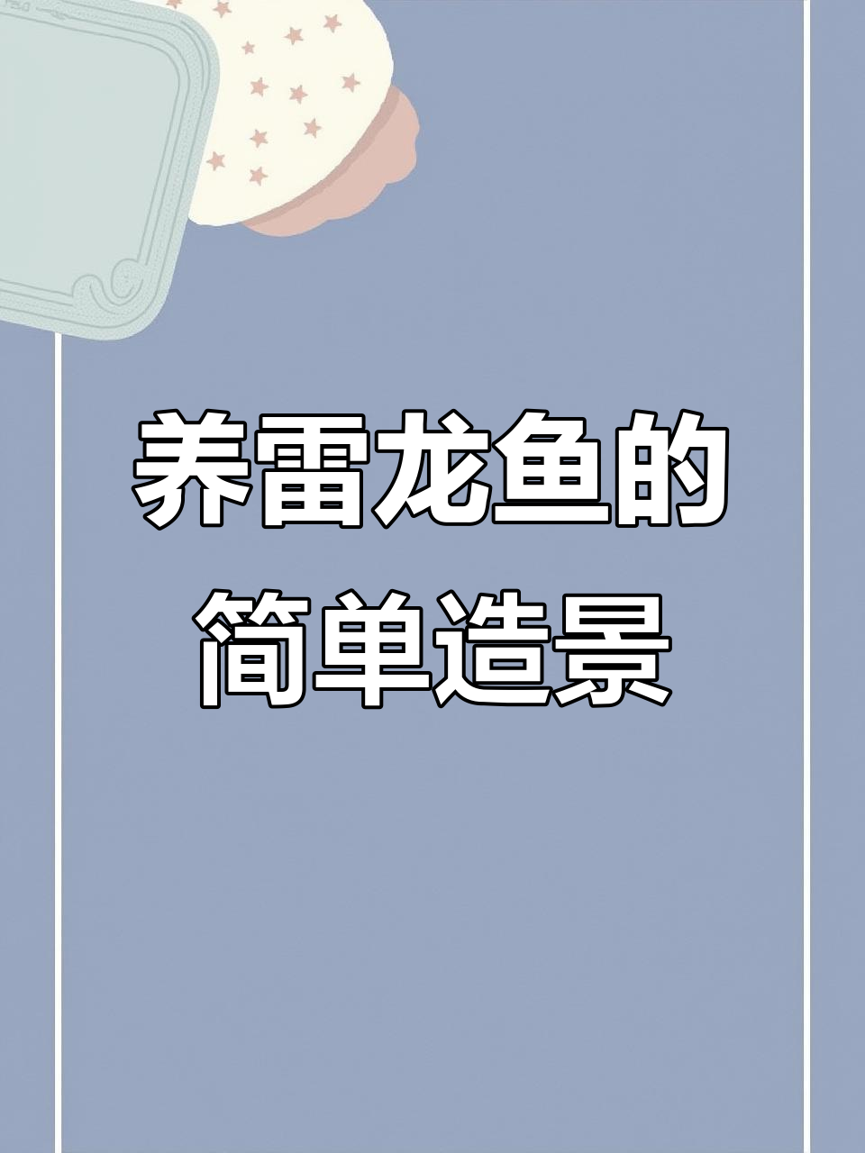 简单造景让雷龙鱼更快乐,避免复杂设计影响观赏