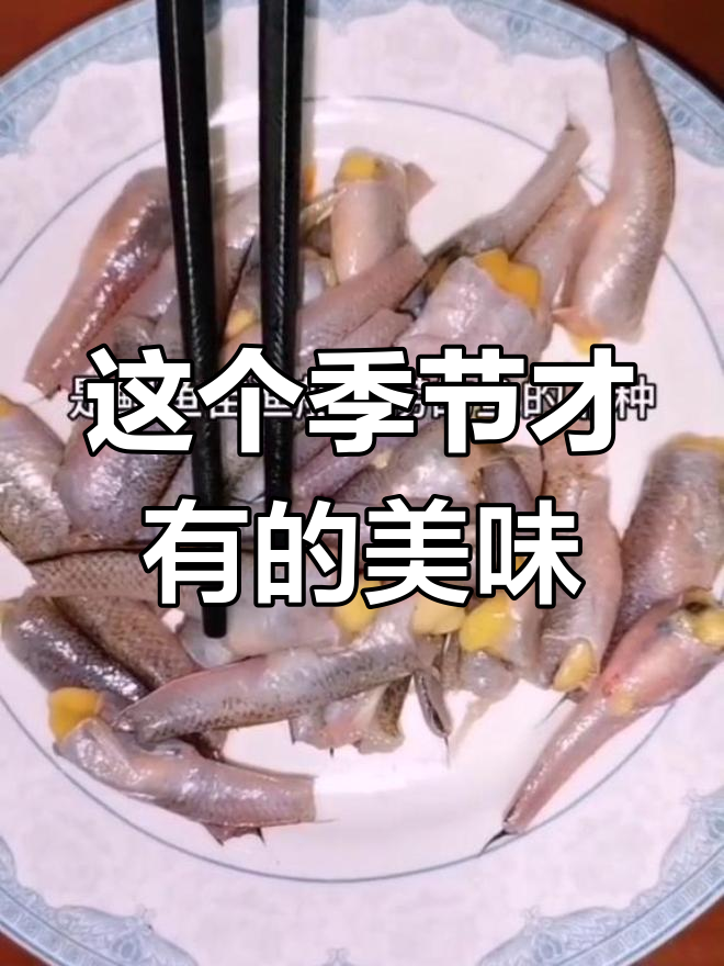 本地叫“钻子”的鱼,学名是什么?