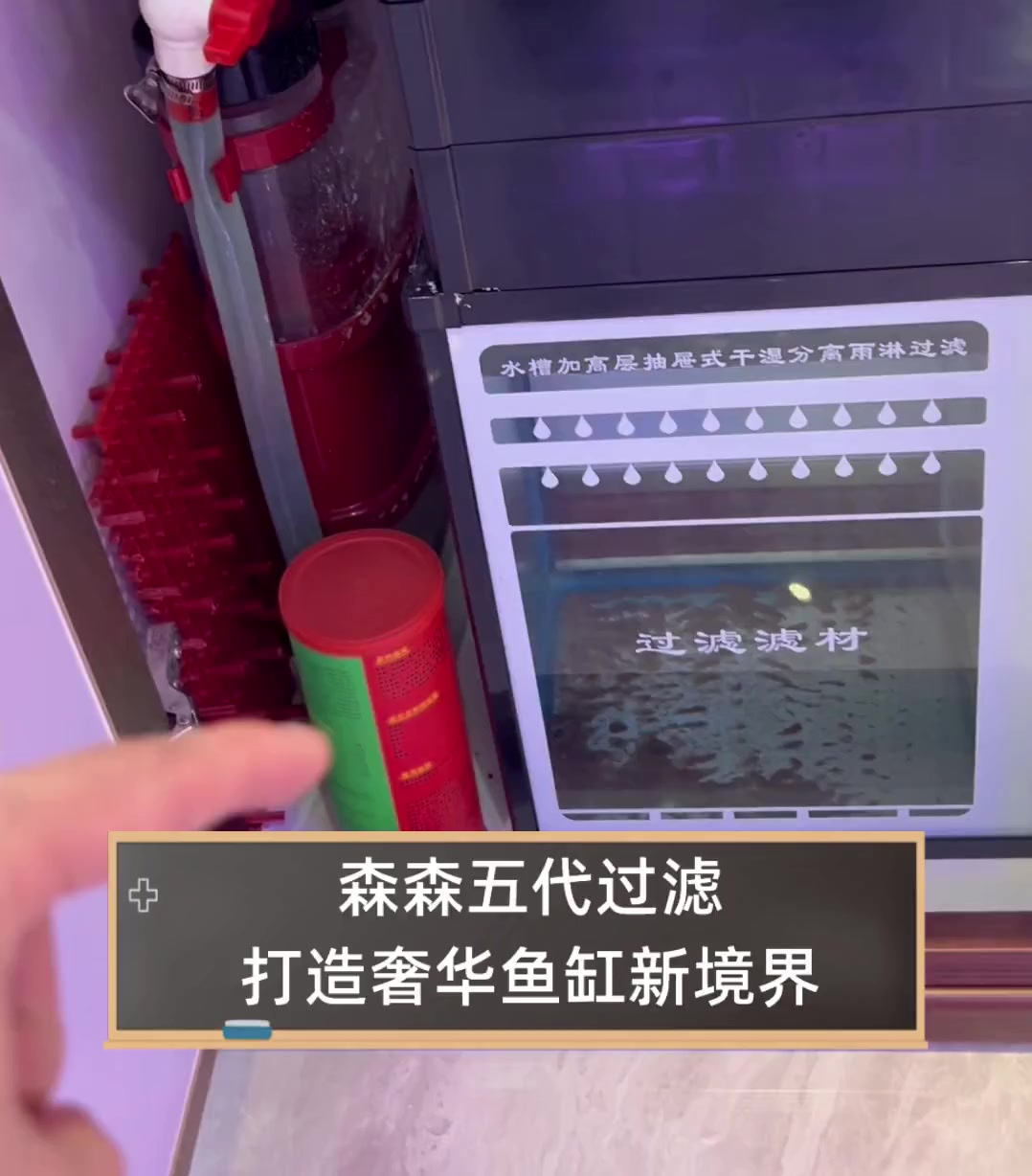 森森五代过滤,打造奢华鱼缸新境界