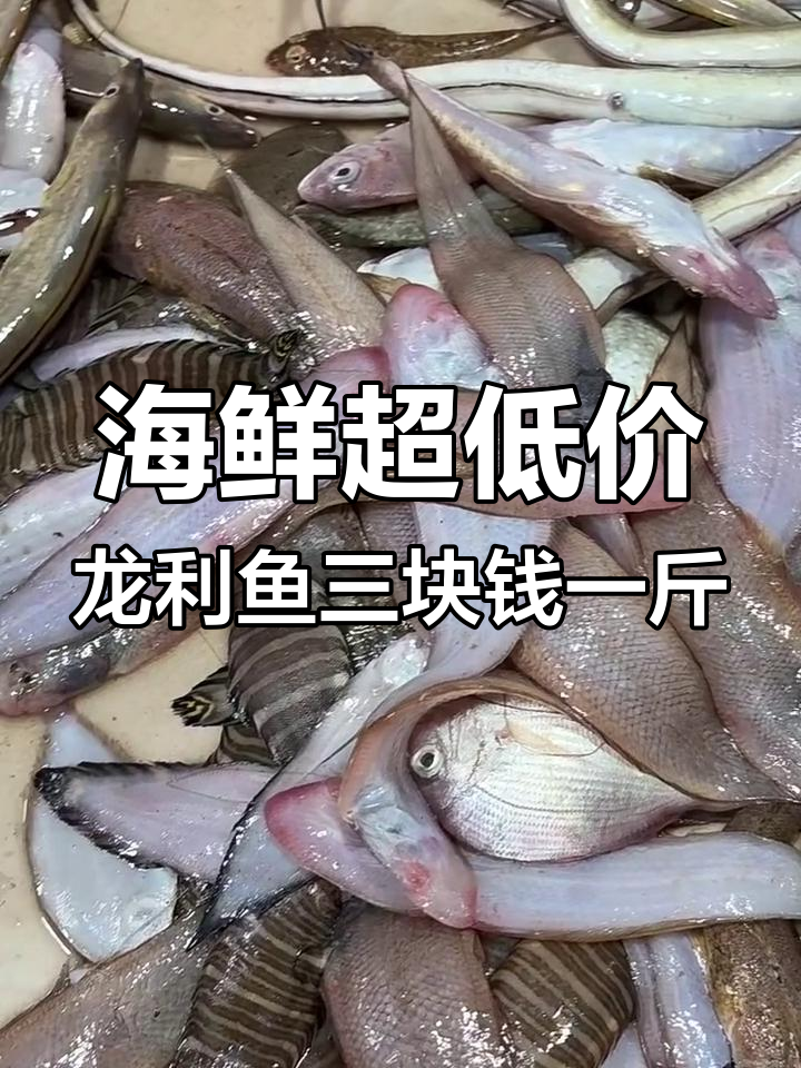 开海节海鲜大降价,龙利鱼竟然比白菜还便宜
