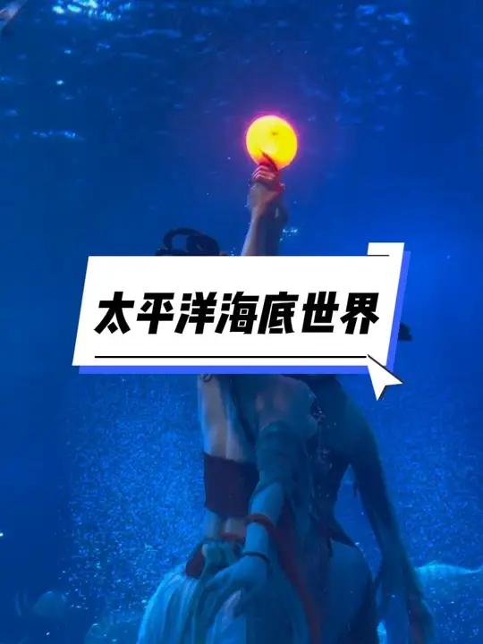 这个假期一定要来一趟太平洋海底世界
