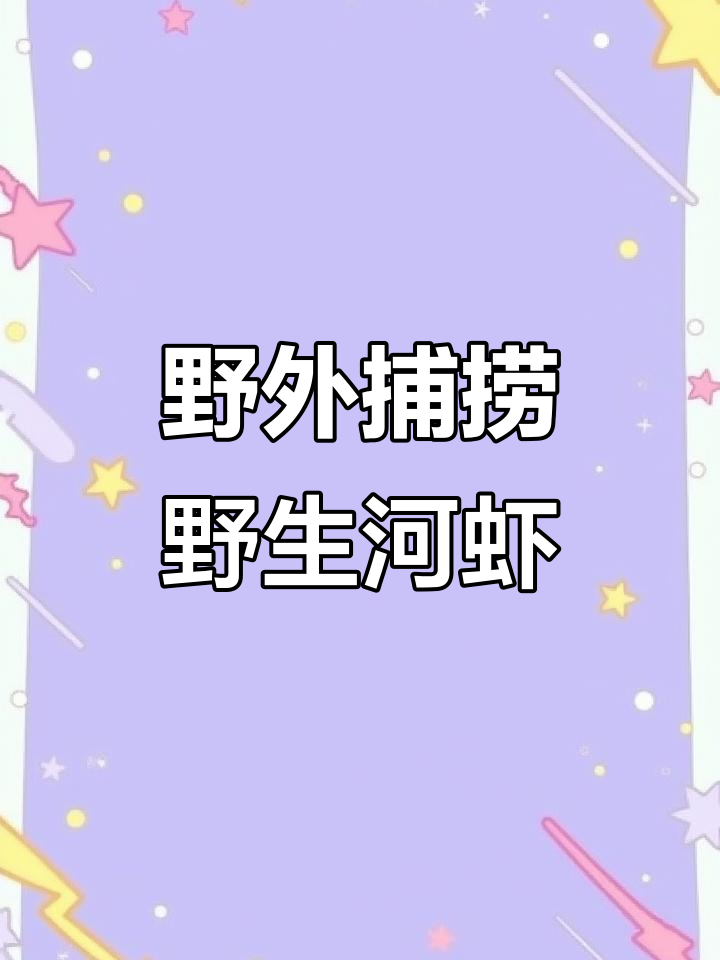 野生河虾大揭秘,真实户外捕捉全过程